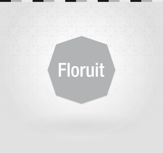 Ideazione e sviluppo marchio Floruit 15
